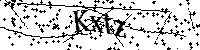 Typ hieronder de letters en cijfers